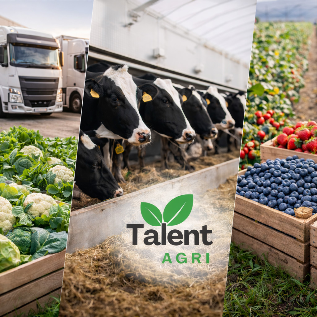 Agricultural professional in the field
